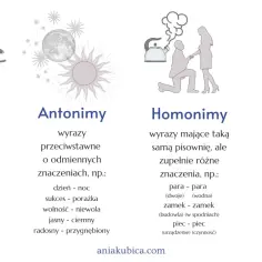 Synonimy to wyrazy bliskoznaczne, np. auto-samochód. Obrazek wyjaśnia też antonimy, homonimy i homofony.