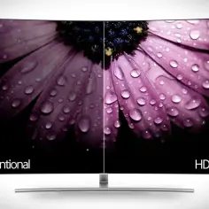 Porównanie obrazu: lewa strona "Conventional", prawa strona "HDR10+" z efektem dolby vision. Widok zbliżenia na fioletowy kwiat z kroplami wody.