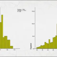 Dwa histogramy: lewy z dominanta ok. 0,7, prawy z dominanta ok. 0,9.