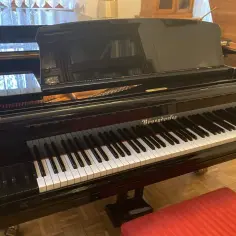 Pianino czy fortepian – co wybrać, aby uniknąć rozczarowania?