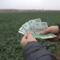 Ręce trzymające banknoty 100 zł na tle pola. Krus - najnowsze wiadomości z ostatniej chwili o rolnictwie i dopłatach.