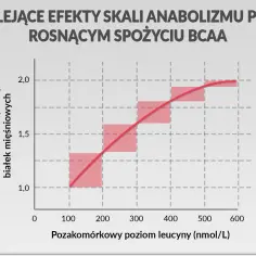 Wykres pokazuje malejące efekty anaboliczne przy rosnącym spożyciu BCAA. Synteza białek mięśniowych rośnie wraz z poziomem leucyny, ale coraz wolniej.