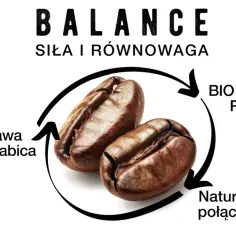 Czy kawa z grzybkiem reishi to klucz do długowieczności? Analiza