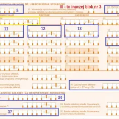 Formularz ZUS DRA z zaznaczonymi polami 5, 7, 11, 12, 13, 18, 33, 34, 37.