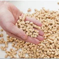 Dłoń trzymająca pellet drzewny na tle rozsypanych granulek.