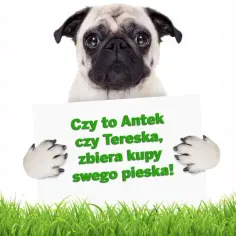 Uroczy mopsik trzyma tabliczkę z napisem "Czy to Antek czy Tereska, zbiera kupy swego pieska!". Idealne do wierszyków o pieskach.