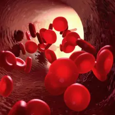 Czerwone krwinki płynące w naczyniu krwionośnym. Obraz może symbolizować monitorowanie poziomu hemoglobiny glikowanej, gdzie normy IFCC są kluczowe dla oceny.