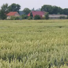 Dzierżawa gruntów KOWR: Wzory dokumentów, jak uniknąć błędów?