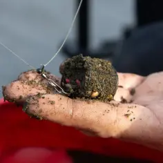 Dłoń w ziemi trzyma koszyczek zanętowy z przynętą i haczykiem.