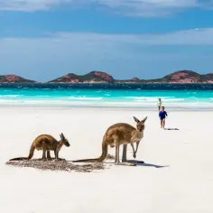 Najpiękniejsze miejsca w Australii i Oceanii, które musisz zobaczyć