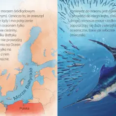 Mapa Bałtyku i Morza Północnego. Na prawo ryba miecznik z ławicą mniejszych ryb. Czy morze bałtyckie łączy się z oceanem? Tak, przez wąskie cieśniny.