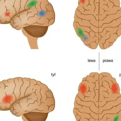 Zespół Aspergera a dysleksja: Czy mogą występować razem?