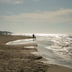 Rodzina spaceruje po plaży, szukając odpowiedzi na pytanie: gdzie najbliżej nad morze z Wielkopolski. Słońce odbija się w falach.