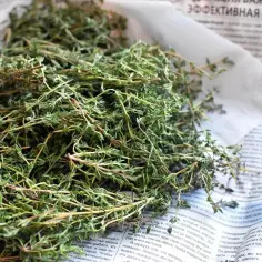 Koperek i tymianek to świetne zioła do przyprawiania potraw. Tutaj widzimy świeży tymianek, który można wykorzystać co zamiast tymianku.