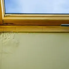 Zacieki na elewacji pod parapetem - skuteczne sposoby naprawy