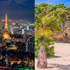 Nocne Tokio z wieżą Tokyo Tower i tropikalna plaża. Zastanawiasz się, ile się leci do Tokio z Warszawy?