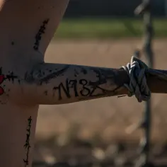 Za każdym numerem kryje się historia: Ludzie w cieniu Auschwitz