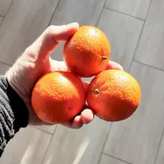 Kaloryczność mandarynki: Ile kcal kryje ten soczysty owoc?