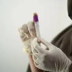 Ręce w rękawiczkach trzymają probówkę z fioletową zakrętką. To ważny etap badania.