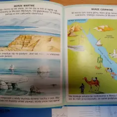 Morze Martwe jest bardzo słone, a Morze Czerwone ma glony. Oba są ciekawe, ale co jest bardziej słone morze czy ocean?