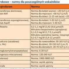 Tabela z normami badań wątrobowych: ALT, AST, bilirubina, fosfataza alkaliczna, GGTP, LDH, ChE, HBs, HCV.
