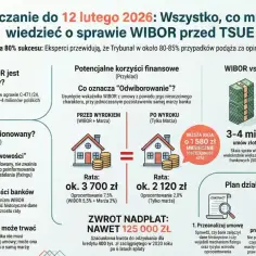Grafika wyjaśnia sprawę **wibor tsue**, pokazując potencjalne korzyści finansowe dla kredytobiorców i skalę problemu dla banków.