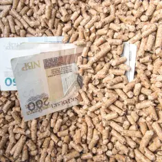 Czy ceny pelletu spadną? Prognozy i analiza rynku opału