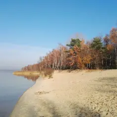 Piękna, piaszczysta plaża w Dziećkowicach nad spokojnym jeziorem, otoczona jesiennym lasem.