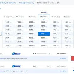 Ile kosztuje lot do Stanów? Zaskakujące ceny biletów lotniczych