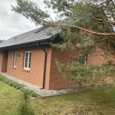 Elewacja z dodatkiem cegły, otoczona zielenią i gałęziami sosny.