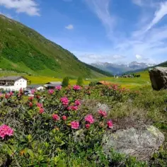 Najlepsze atrakcje w Davos, które zaskoczą każdego turystę