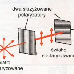 Ilustracja pokazuje, co to jest polaryzacja światła: niespolaryzowane światło przechodzi przez pierwszy polaryzator, staje się spolaryzowane, a następnie jest wygaszane przez drugi, skrzyżowany polaryzator.