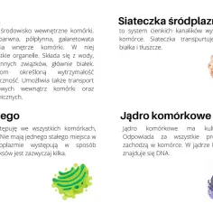 Ilustracje przedstawiające komórkę roślinną i inne rodzaje komórek: aparat Golgiego, jądro komórkowe i siateczkę śródplazmatyczną.
