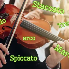 Smyczek w instrumentach smyczkowych - najważniejsze tajemnice prawidłowej gry