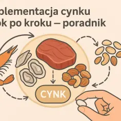 Cynk na co pomaga? Ilustracja pokazuje źródła cynku: krewetki, ostrygi, mięso, orzechy. Suplementacja cynku krok po kroku.