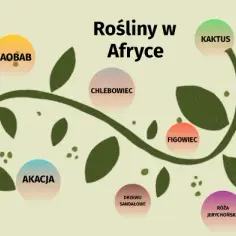 Jakie rośliny uprawia się w Afryce? Odkryj nieznane gatunki i ich znaczenie
