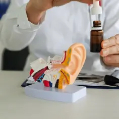 Lekarz pokazuje model ucha i krople, które mogą być antybiotykiem na ucho.