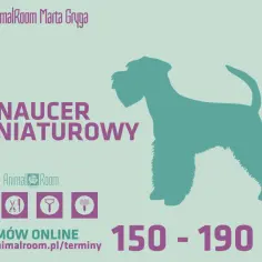 Sznaucer miniaturowy: Szczekanie i trymowanie Klucz do harmonii
