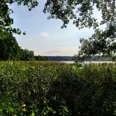 Jezioro Kielarskie - fascynujący zakątek Pojezierza Olsztyńskiego