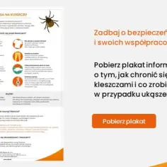 Najlepsze sposoby na kleszcze: skuteczne metody ochrony i zapobiegania