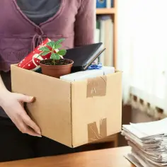 Koniec stażu z urzędu pracy. Jak odejść ze stażu z urzędu pracy bez utraty statusu bezrobotnego i ubezpieczenia? Pudełko z rzeczami, książka, roślina.