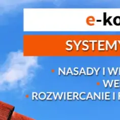 Jak zabezpieczyć komin przed ptakami i uniknąć kosztownych problemów