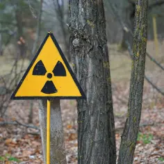 Żółty trójkąt z czarnym symbolem promieniowania. Czy uran jest radioaktywny? Znak ostrzega przed niebezpieczeństwem w lesie.