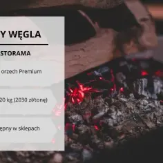 Ile kosztuje ekogroszek w Castoramie? Ceny, które zaskoczą!