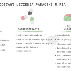 Padaczka idiopatyczna u psa: Atak i pomoc. Jak kontrolować chorobę?