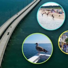 Długi most nad wodą, plaża pełna ludzi, mewa i nadmorskie miasteczko. Zastanawiasz się, ile kilometrów jest ze Szczecina nad morze?