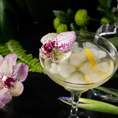 Koktajl Pisco Sour z pianką, ozdobiony kwiatem storczyka i skórką cytryny.