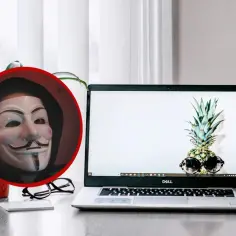 Test kamery w laptopie: na ekranie ananas w okularach, a obok maska Anonymous.