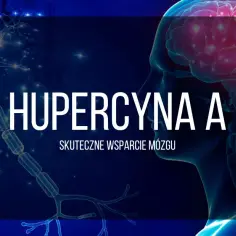 Suplementy na pamięć i koncentrację - skuteczne wsparcie dla twojego mózgu