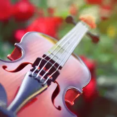 Skrzypce na tle czerwonych róż. Instrument zapowiada nietypowe brzmienia, może nawet muzykę eksperymentalną.